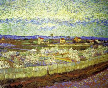 Vincent Van Gogh : Peach Blossoms in the Crau